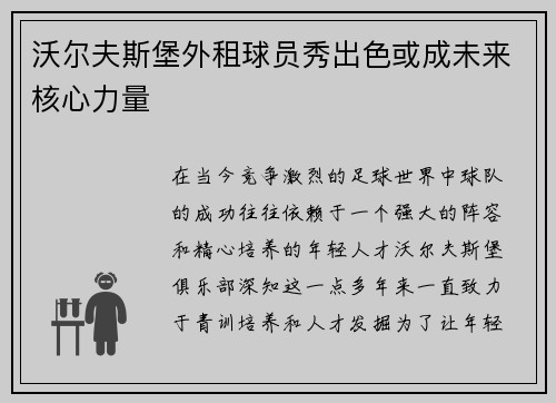 沃尔夫斯堡外租球员秀出色或成未来核心力量