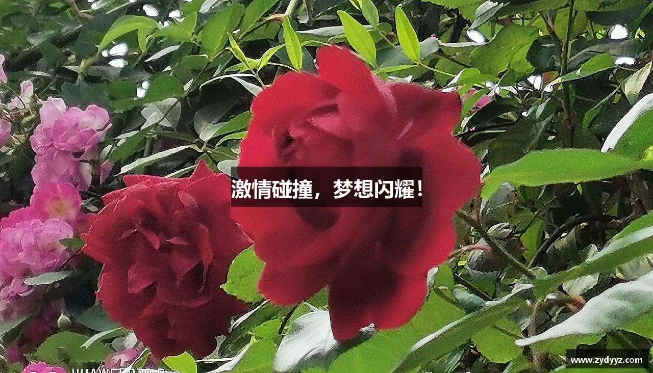 乐天堂fun88官网激情碰撞，梦想闪耀！